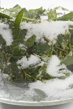 Macro texture of peppermint leaves and white sugar in a glass jar Stock Photos