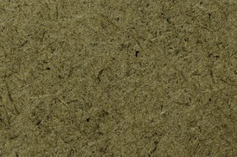 Macro texture. Stock Photos