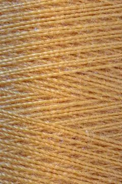 The macro texture Stock Photos