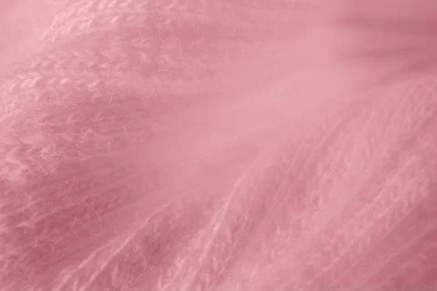 Macro texture of pink knitted wool fabric with ribbed pattern Stock Photos
