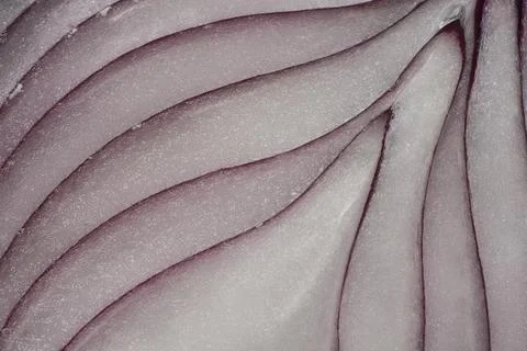 Macro texture of a red onion cross section Stock Photos