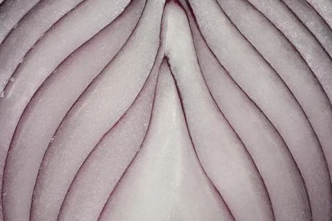 Macro texture of a red onion cross section Stock Photos
