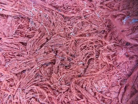 Macro texture of red woven fabric threads background with selective focus and Stock Photos