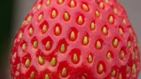 Macro Texture of a Ripe Red Strawberry Skin and Seeds. Stock Footage 318515550