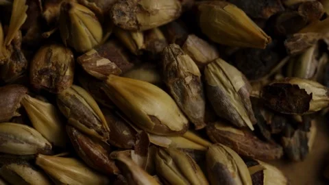 Macro texture of roasted dark crystal malt grains Stock Footage 327911355