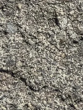Macro texture of a rough asphalt surface with small stones. Stock Photos