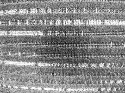 Macro texture of silver knitted fabric pattern 写真素材