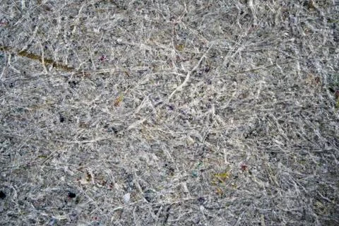 Macro texture of thin cardboard Stock Photos