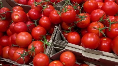 Macro Texture Tomato In Box, Slider Shot Stock Footage 210174107