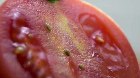 Macro Texture of Tomato Pulp Cross-Section. Abstract juicy organic background. Stock Footage 320318924
