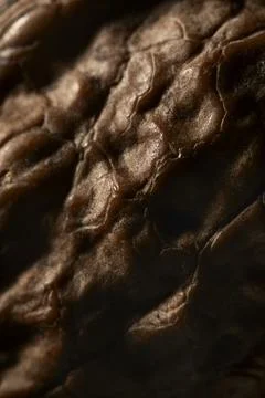 Macro texture of walnut shell surface Foto stock