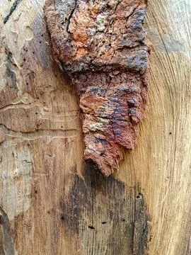 Macro Texture of Weathered Tree Bark and Termite Damaged Wood Stock-Fotos