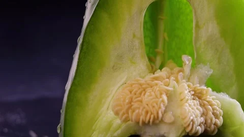 Macro Texture of Wet Pepper Skin with Sliding Drops Slow Motion Stock Footage 326011296