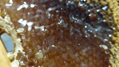 Macro texture of a wooden honeycomb frame filled with fresh golden honey Stock Footage 336006975