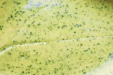 Macro texture of yellow ceramic plate with leaf imprint speckled glaze Stock Photos