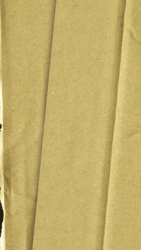 Macro Textured Vertical Corrugated Kraft Cardboard Base Layer Background for Stock Footage 343737459