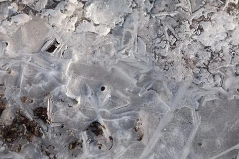 Macro of a thin layer of ice with an openwork pattern Stock Photos
