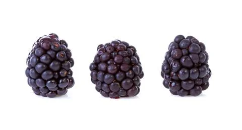 Macro of three blackberries Stock Photos