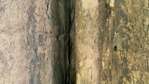 Macro tilt up shot of a deep crevice in an old weathered tree trunk bark te.. Stock Footage 337582817