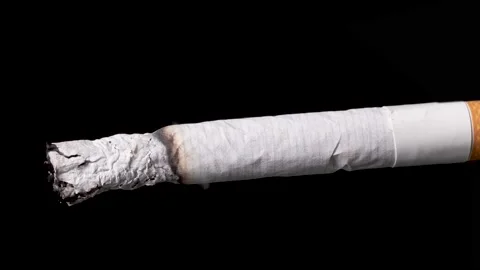 Macro time lapse of a cigarette burning down, professional studio shot. Video stock 147075414