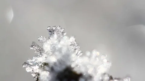 Macro time-lapse of melting hoarfrost particles. Majestic beauty of springtime Video stock 84982386