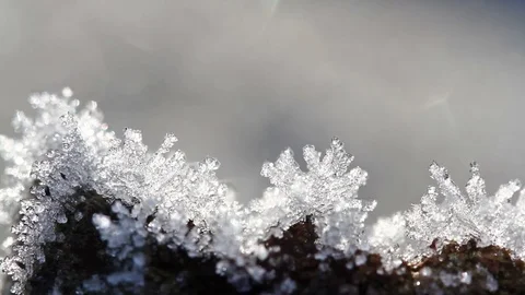 Macro time-lapse of melting hoarfrost particles. Majestic beauty of springtime Video stock 84983402