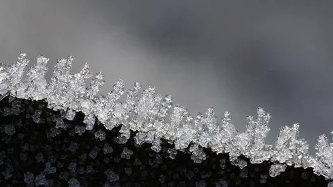 Macro time-lapse of melting hoarfrost particles. Majestic beauty of springtime Video stock 84983595