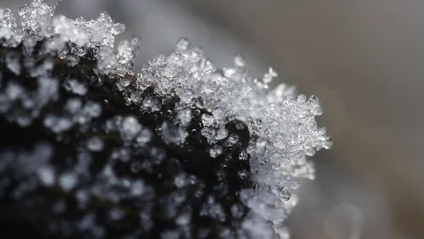 Macro time-lapse of melting hoarfrost particles. Majestic beauty of springtime Video stock 84983994