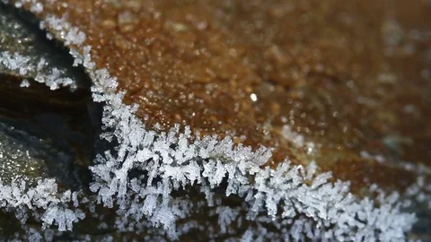 Macro time-lapse of melting hoarfrost particles. Majestic beauty of springtime Video stock 84985261