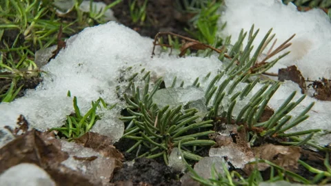 Macro time-lapse shot of shiny melting snow particles turning into liquid water Stock Footage 150018186