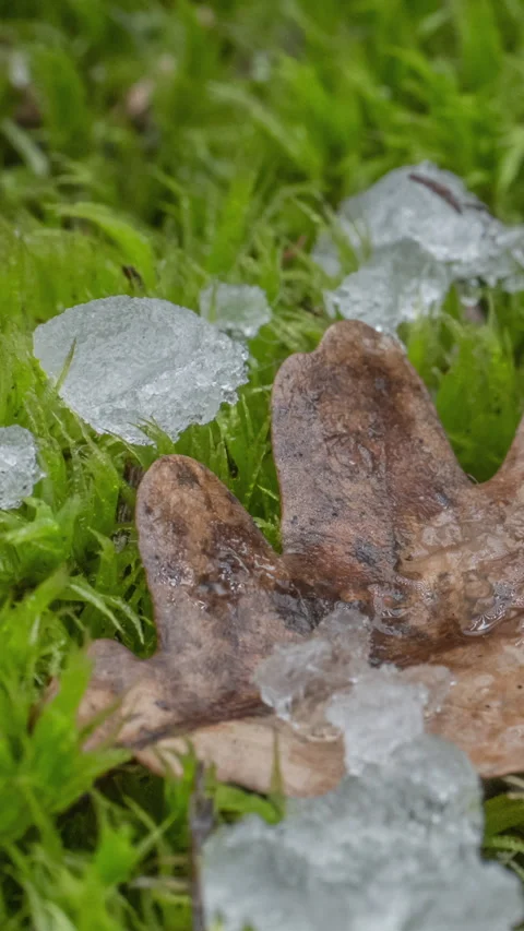 Macro time-lapse shot of shiny melting snow particles Stock Footage 268225573