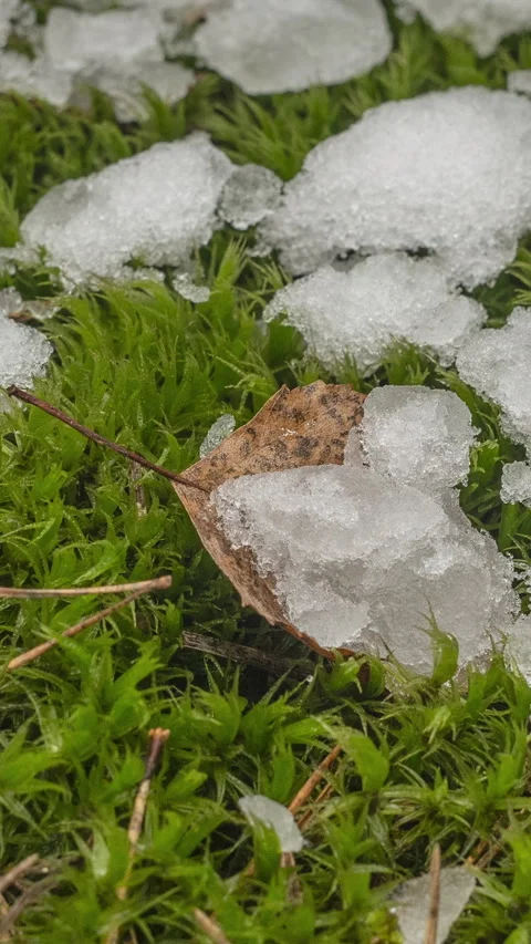 Macro time-lapse shot of shiny melting snow particles Stock Footage 271172043
