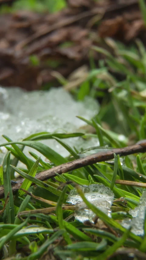 Macro time-lapse shot of shiny melting snow particles turning into liquid water Stock Footage 274187928