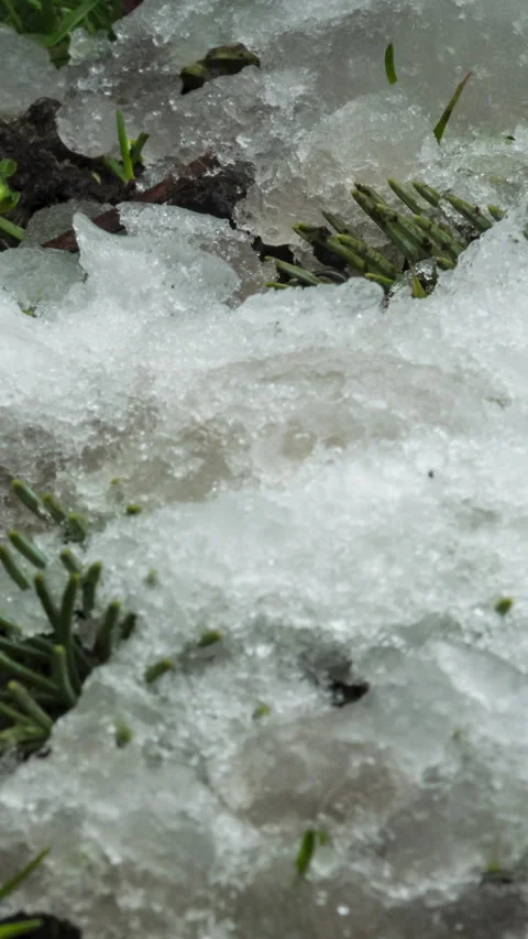 Macro time-lapse shot of shiny melting snow particles turning into liquid water Stock Footage 275017774