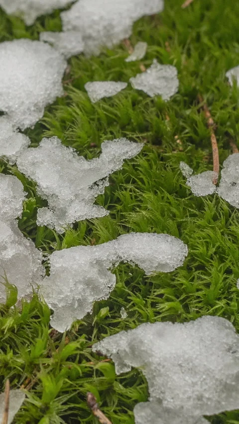 Macro time-lapse shot of shiny melting snow particles Stock Footage 279336287