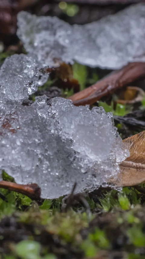 Macro time-lapse shot of shiny melting snow particles Stock Footage 279963097