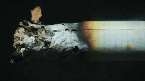Macro Timelapse A Burning Cigarette. Extreme Close Up Stock-Footage 107352690