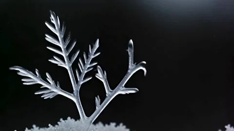 Macro Timelapse Footage of Unique Crystal Formation Growing Against Black B.. Stock Footage 321948557