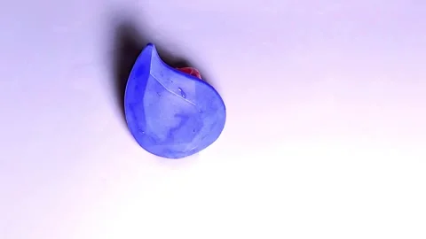 Macro timelapse of thermochromic material changing color from dark purple to lig Stock Footage 330024476