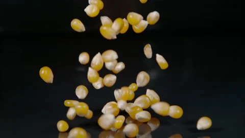 MACRO: Tiny yellowish popcorn kernels fall onto the shiny kitchen countertop. Stock Footage 166542740