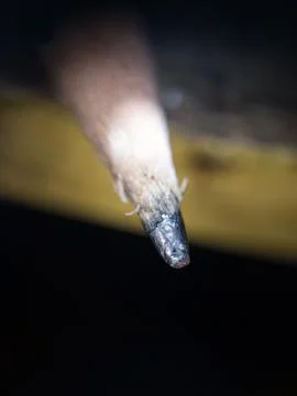 Macro the tip of the pencil Foto stock