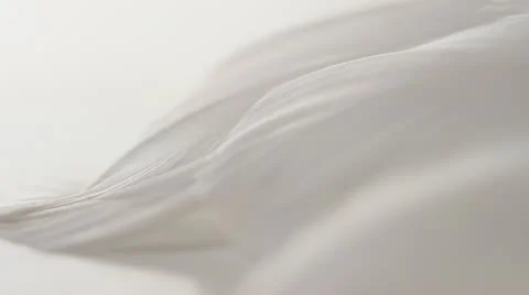 Macro, tips of white feathers, white backdrop, narrow depth of field, HD 1080p Stock Footage 21432440
