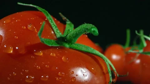 Macro tomato with water drops Stock Footage 229449311
