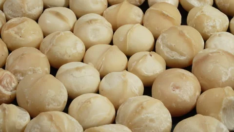 Macro Top View Rotating Pattern of Peeled Macadamia Kernels. Stock-Footage 332834542