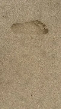 Macro Top View Of Single Bare Footprint On Wet Beach Sand Stock Photos