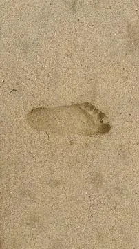 Macro Top View Of Single Bare Footprint On Wet Beach Sand Stock Photos