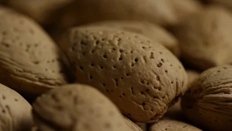 Macro tracking shot over pile of almonds in shells Stock Footage 327910182