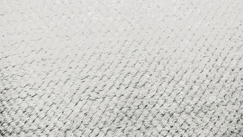 Macro tracking shot reveals white textured fabric shifting under soft natural li Stock Footage 337025591