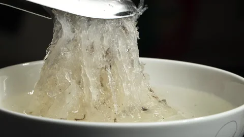 Macro Translucent Softened Swiftlet Bird Nest Strands Vidéo 339368937