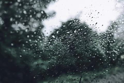 Macro transparent dew drop on mirror with Nature Background. Close-up of rain Stock Photos